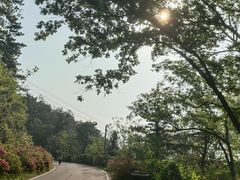 -木兰云雾山