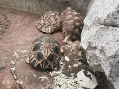 -临沂动植物园