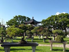 -江心屿景区