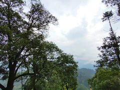 -青城山