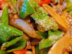 双椒回锅肉-成都映象川菜馆(宽窄巷子景区店)