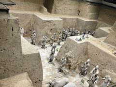 -秦始皇帝陵博物院(兵马俑)