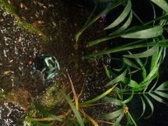 android_upload_pic-上海大自然野生昆虫馆