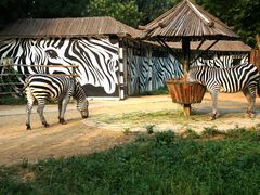 -石家庄市动物园