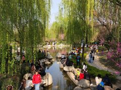 -西安青龙寺遗址景区