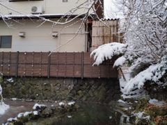 -季夏金枪鱼牛排自助餐厅(海悦天地店)
