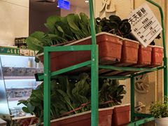 -山东宾馆·齐鲁苑餐厅