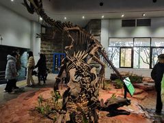 -自贡恐龙博物馆