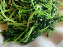-文三里屯面馆(三里屯店)