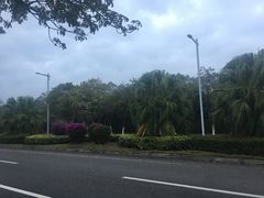 -海口站