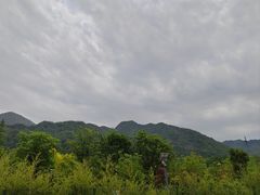 -若水农家乐