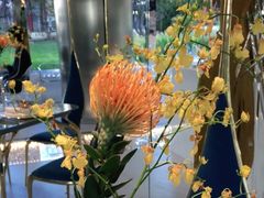 -九献创意菜·牛排馆(亮马河花园店)