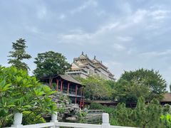 -顺峰山公园