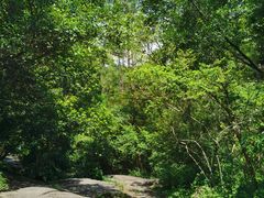 -水濂山森林公园