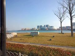 -星光岛