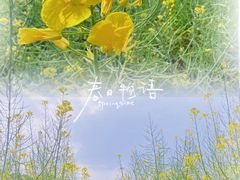 -红山村