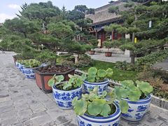 -大慈恩寺(大雁塔)