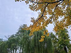 -西湖天地