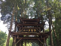 -青城山