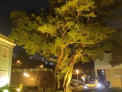 -龙环葡韵住宅式博物馆