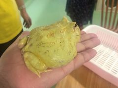 -藦茜花园宠物主题亲子互动体验馆(国顺东路店)