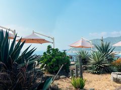 -Brew Farm·精酿农场海滨悬崖餐厅