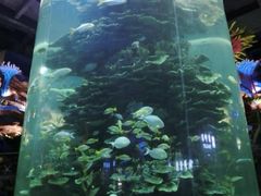 -泉城欧乐堡海洋极地世界