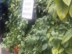 -左撇子私房面
