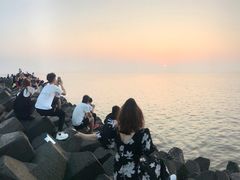 -南汇嘴观海公园