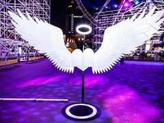 -锦江乐园舞狸花花游园会(夜场专享)