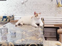 -平行世界·猫咖(首经贸店)