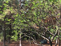 -艾溪湖湿地公园