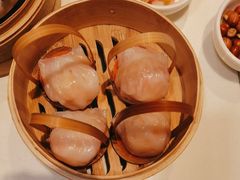 -金鼎轩(亚运村店)