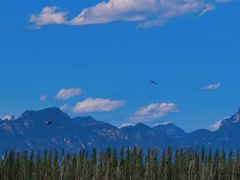 -野鸭湖国家湿地公园