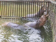 -海南热带野生动植物园