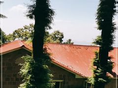 -莫干山风景区