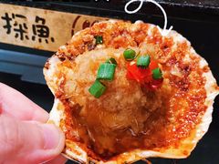 蒜蓉烤扇贝-探鱼·鲜青椒爽麻烤鱼(苏宁广场店)