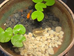 -曲水兰亭(北京四惠店)