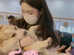 -柯斗斗主题餐厅·狗咖·围炉煮茶·茶饮(国瑞升平里店)