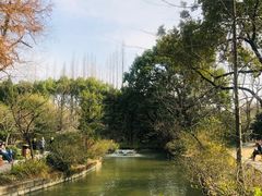 -上海醉白池公园