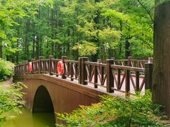 -黄海国家森林公园