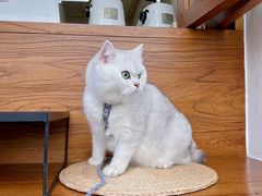 -本無咖啡·BeanWood Coffee