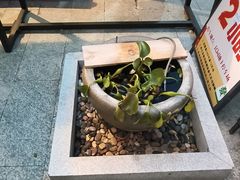 -冒点儿·川小馆·巨无霸辣子鸡(五大道旗舰店)