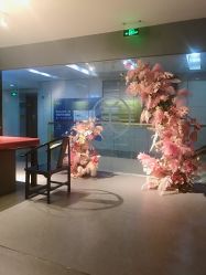 -奈瑞儿美颜美养SPA