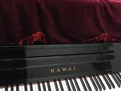 -弘智卉艺术教育/高端琴房(中央音乐学院店)