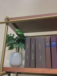 -MR.COLLECTION西装先生(富华里店)