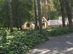 -黑龙江省森林植物园