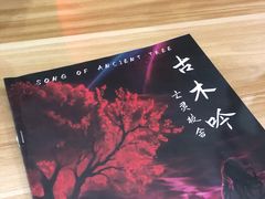 -案相推理探案馆