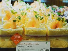 -阪急百货店(梅田总店)