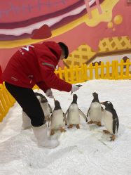 -第五极儿童乐园